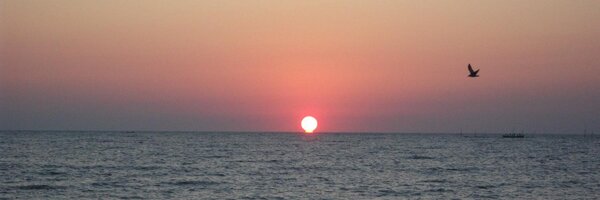 St_Julezii Profile Banner