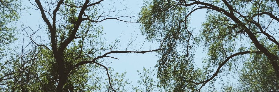 justjaimeeee's profile banner image