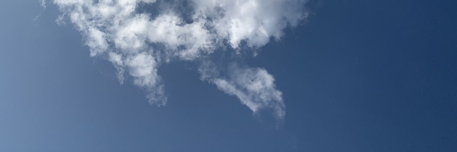 Biscuitt4's profile banner image