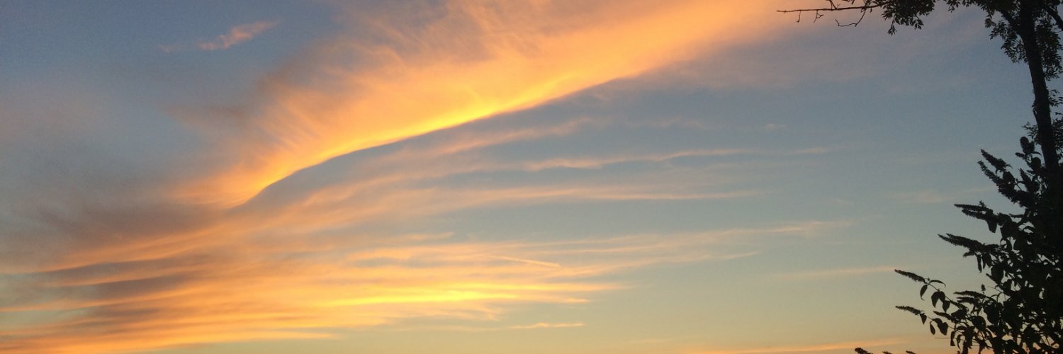 Terivanderh's profile banner image