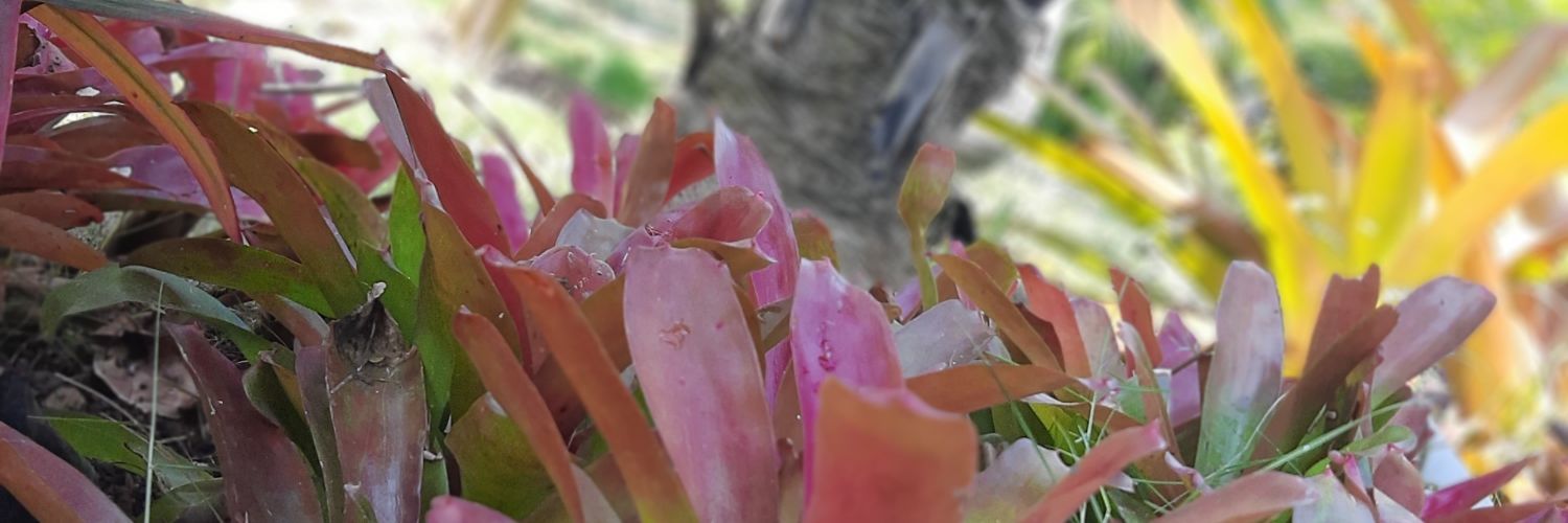 M_fer90's profile banner image