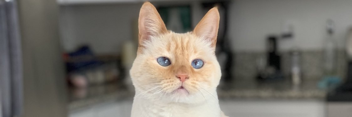 JuanD0Tcom's profile banner image