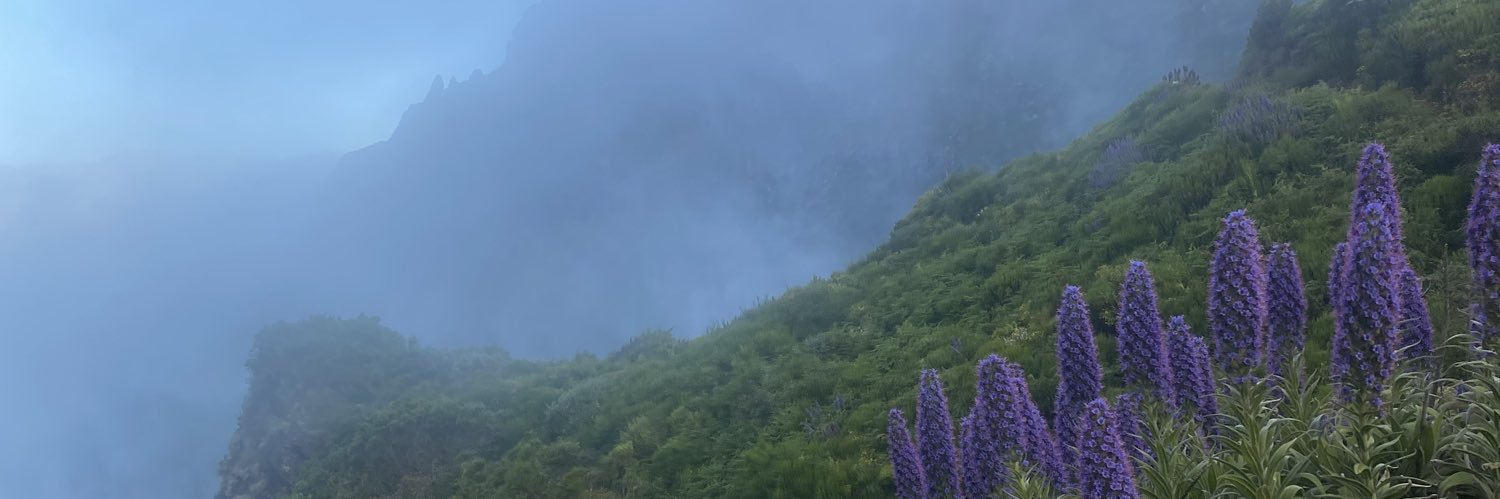 Lauraakr's profile banner image