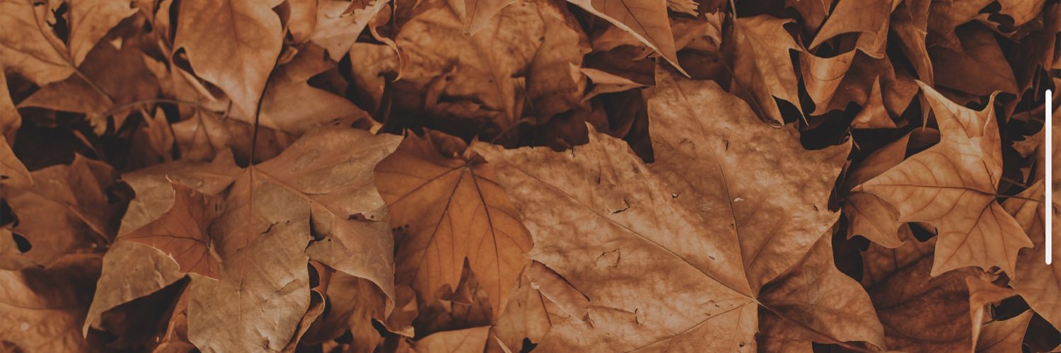 DanielleAnnand's profile banner image