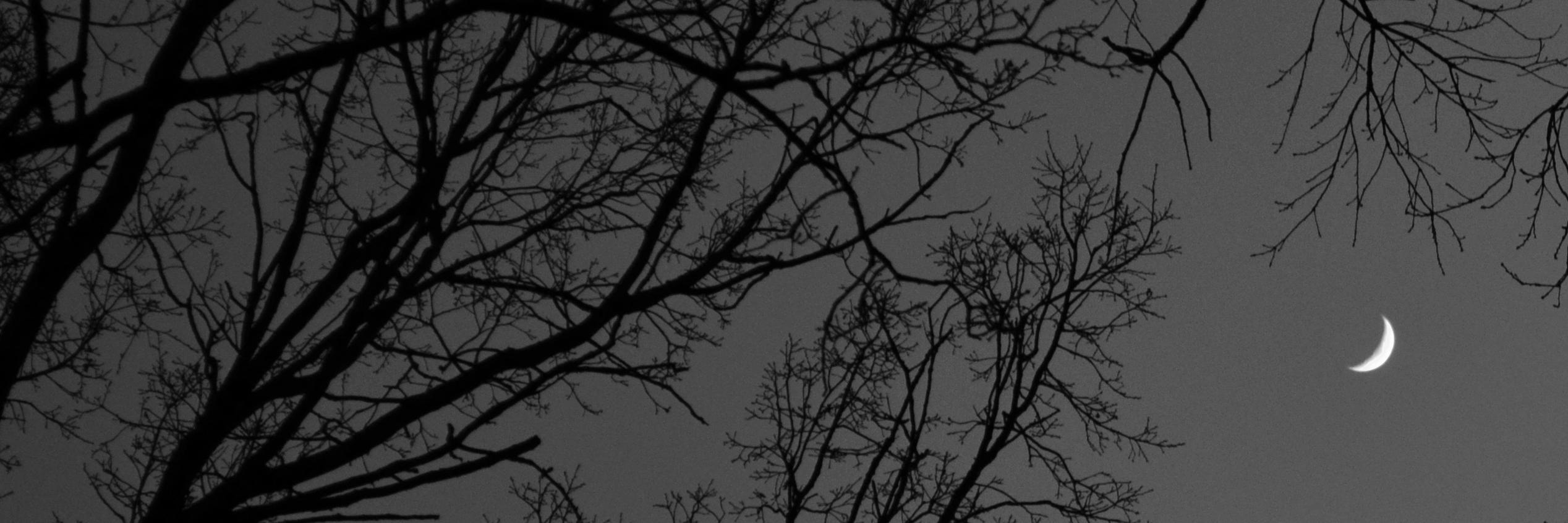 Mahmud Haghshenas banner