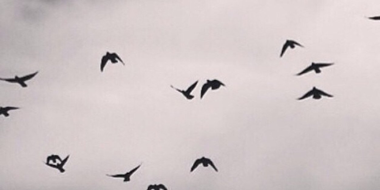 Harf_L's profile banner image