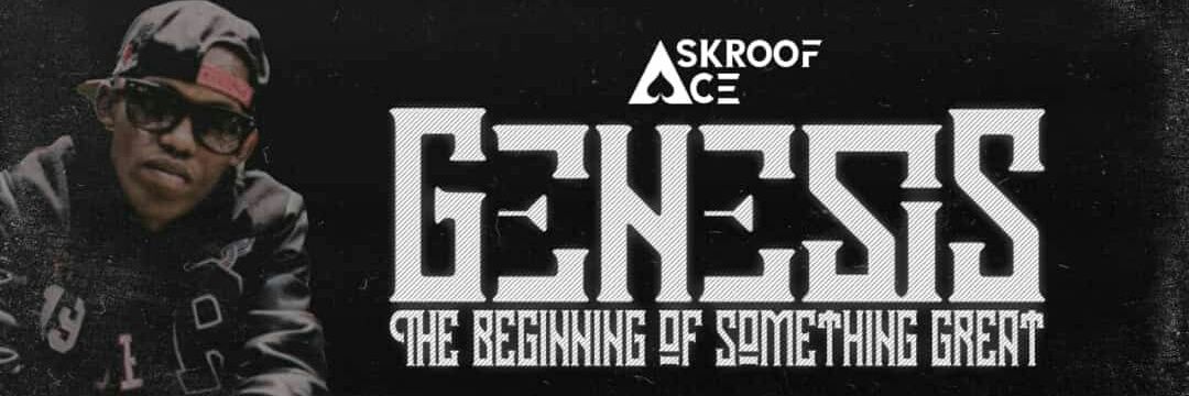 SkroofAce's profile banner image