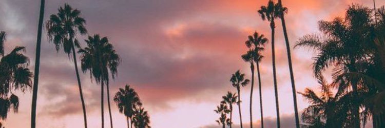 soyromillo's profile banner image