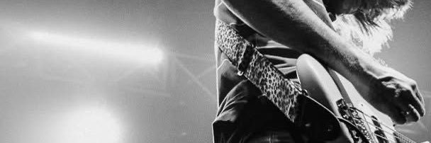 Poguelanders's profile banner image
