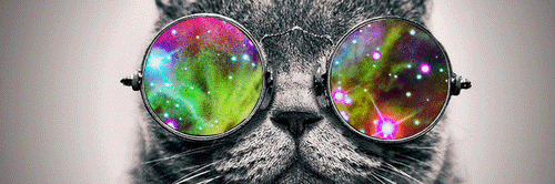 zapax4's profile banner image