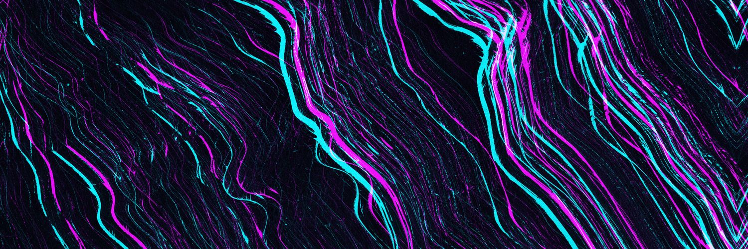 xssanchezx's profile banner image
