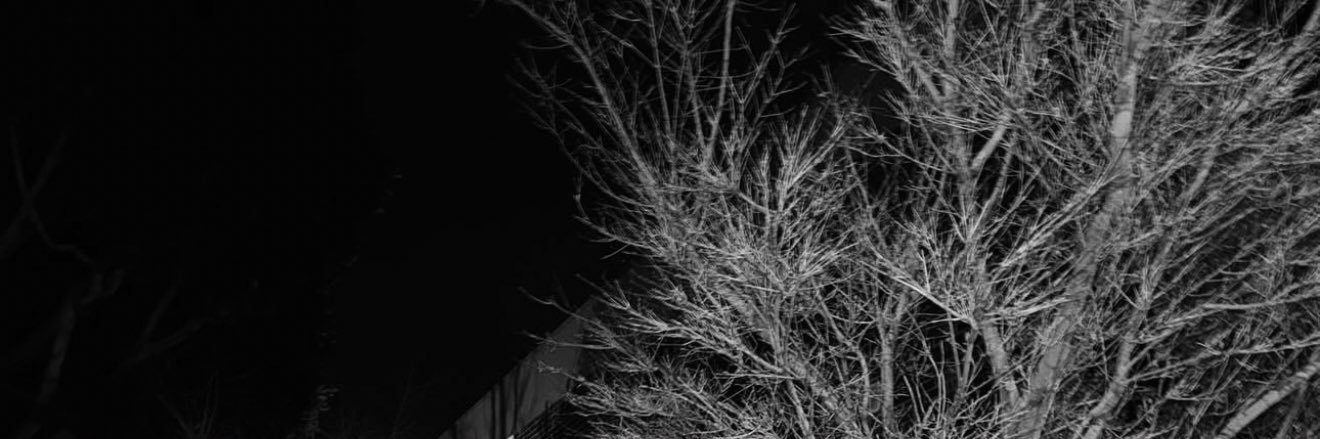 𝐄𝐥𝐥𝐞. banner