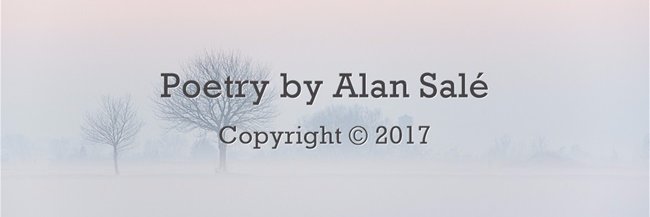 Alan Salé banner