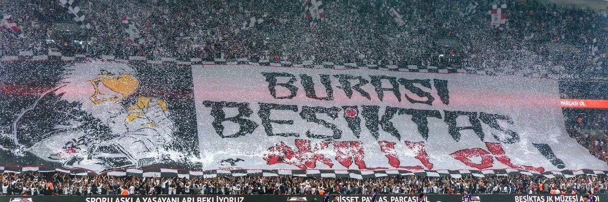 gulumroza's profile banner image