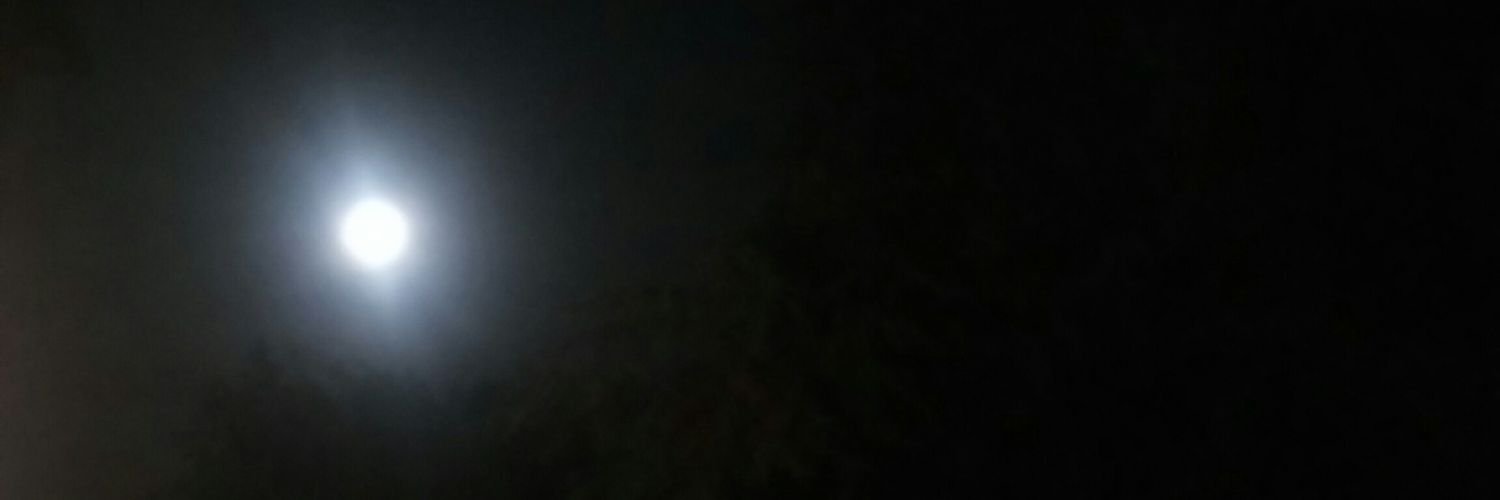 marie_lrrt's profile banner image