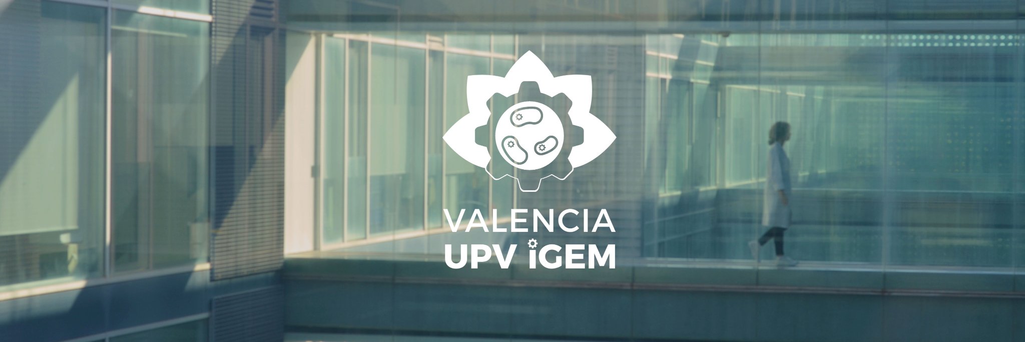 Valencia UPV iGEM banner