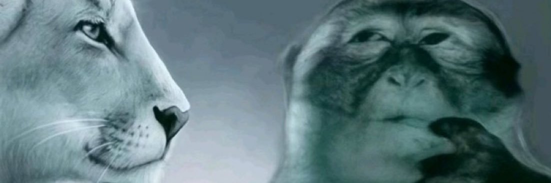 slimetuzz's profile banner image