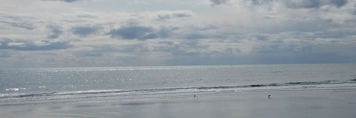 jellybean824's profile banner image