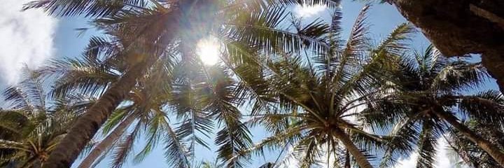 settpescadito's profile banner image