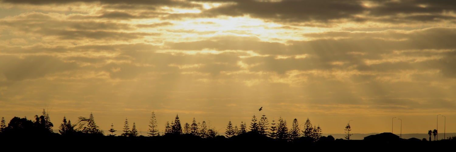 penva's profile banner image