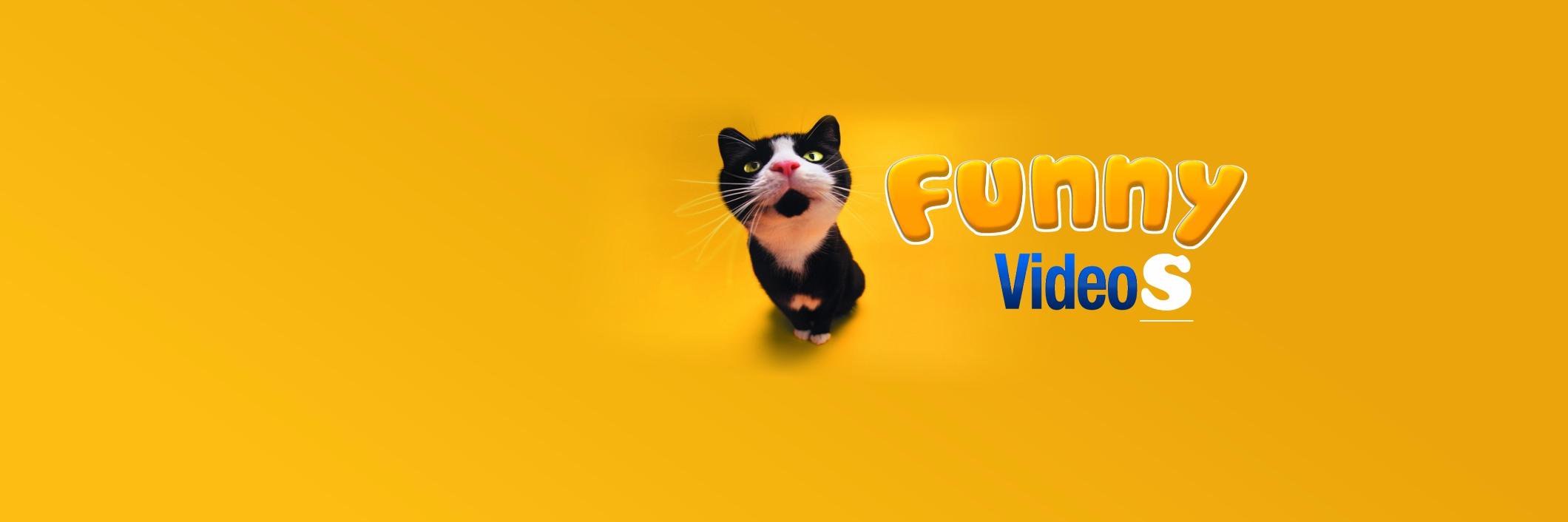 funnyvdeos's profile banner image