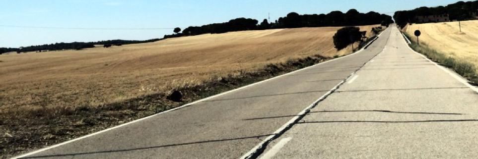 elkamez's profile banner image