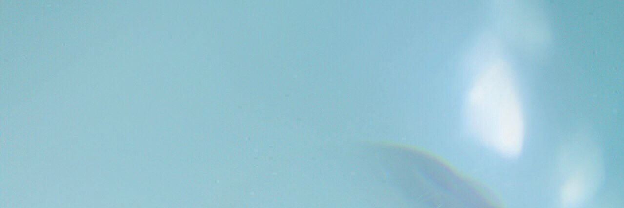 Madelyn_Osb's profile banner image