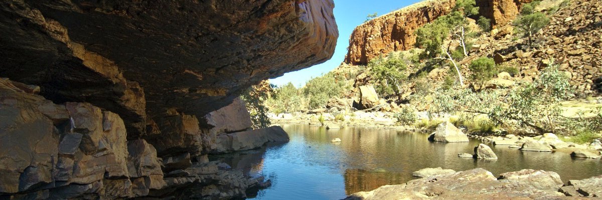 Aaron Wakeman banner