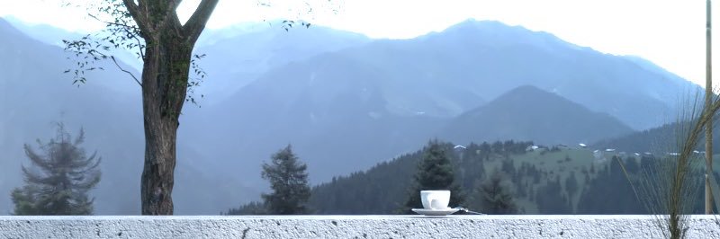 パーリダー's banner