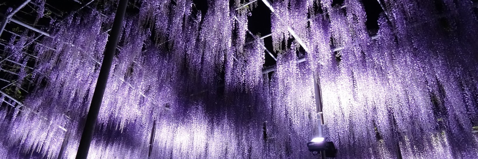 mitsukiymk's profile banner image