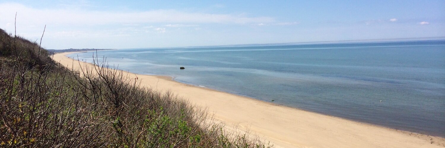 Sarah Mazzilli banner