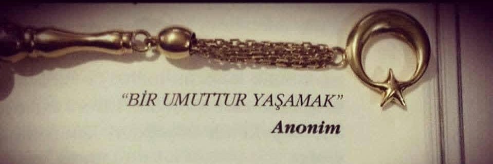 mimaner's profile banner image