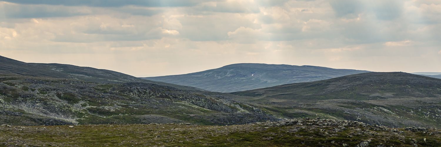 N_Dyrelius's profile banner image