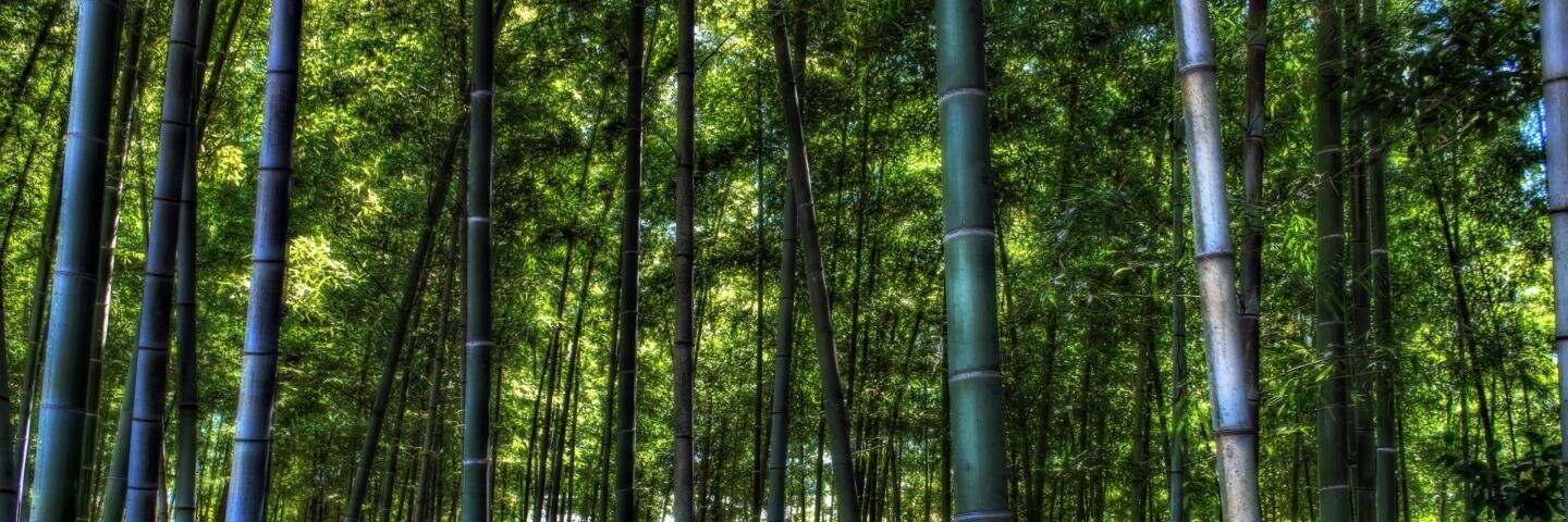 CSIS Asia Program banner