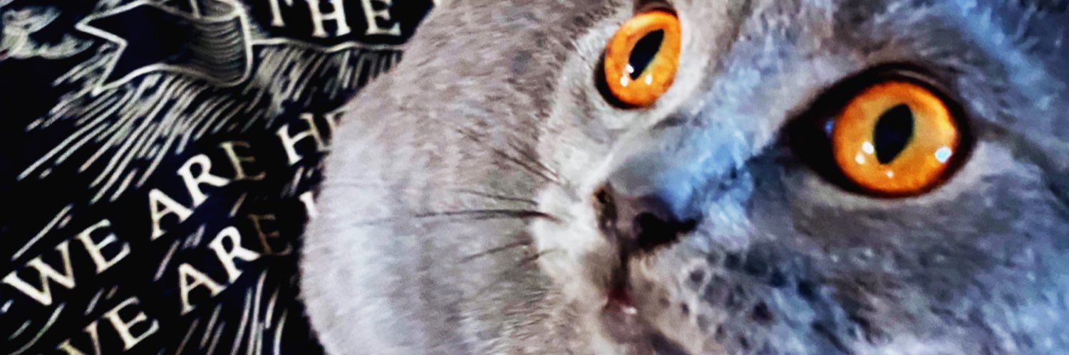 luvfelis's profile banner image