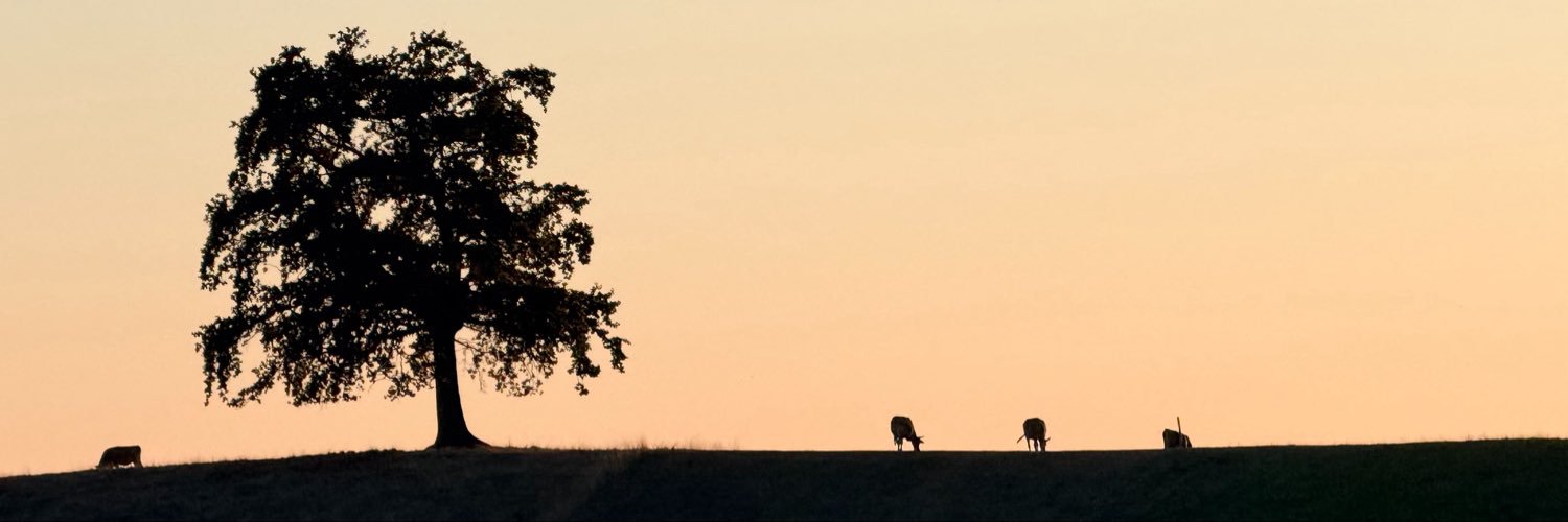 dekk01's profile banner image