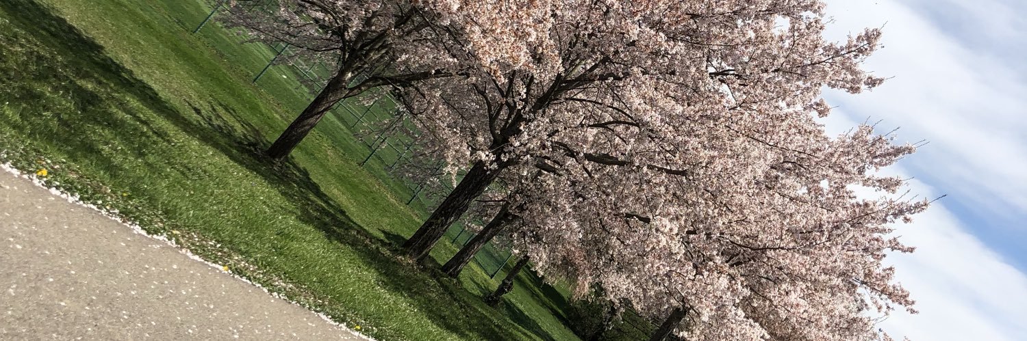NicoleAlexa0's profile banner image