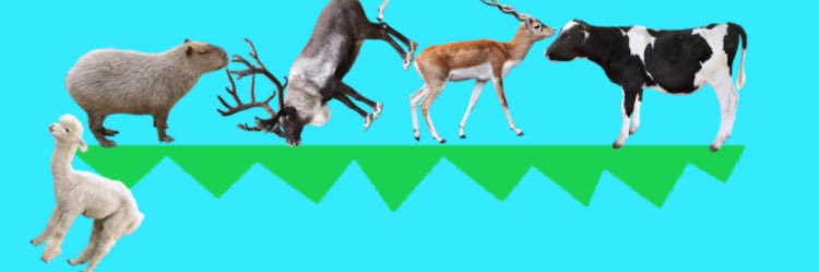 buunoo2's profile banner image
