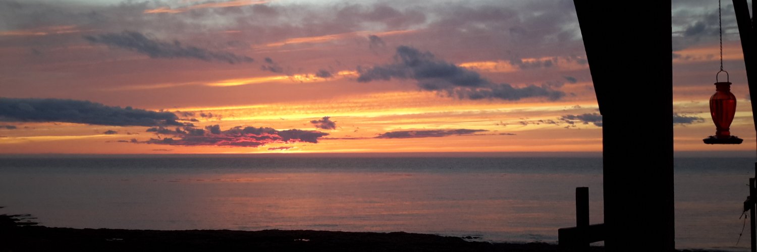 LogsdailD's profile banner image