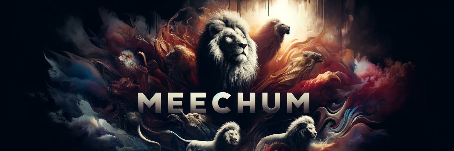 aKaMeechum's profile banner image