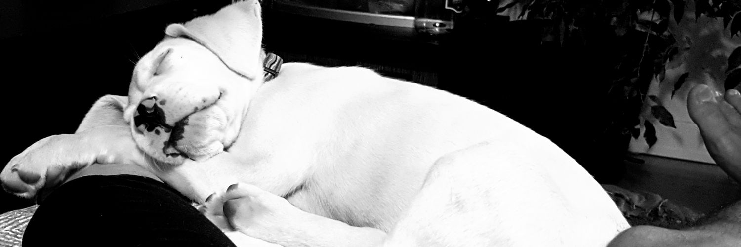 AtakanKvrck's profile banner image