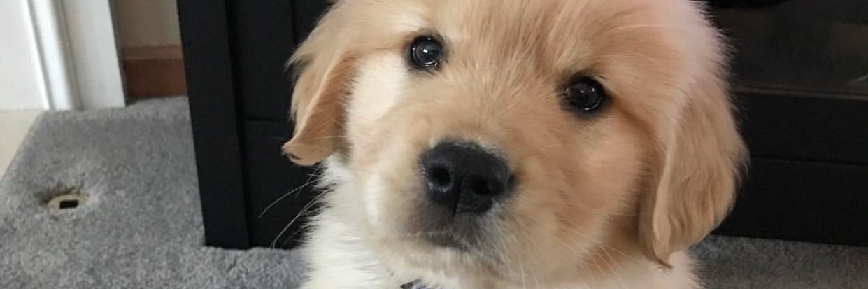 kimsully425's profile banner image