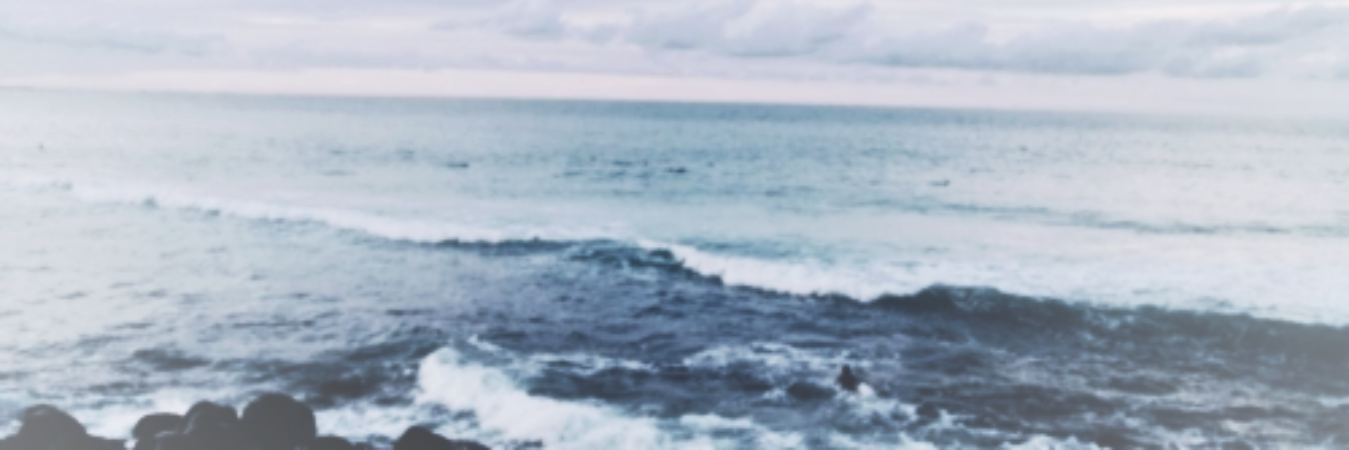 JenniferLawAAA's profile banner image