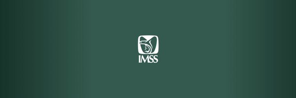 IMSS Guanajuato Profile Banner