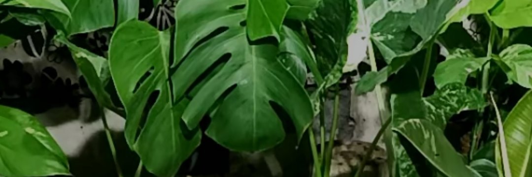YuliPutriES's profile banner image