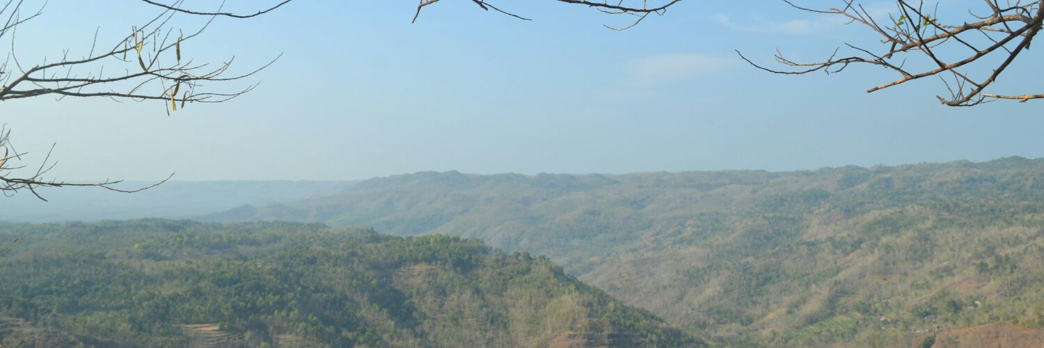 billifirdi's profile banner image
