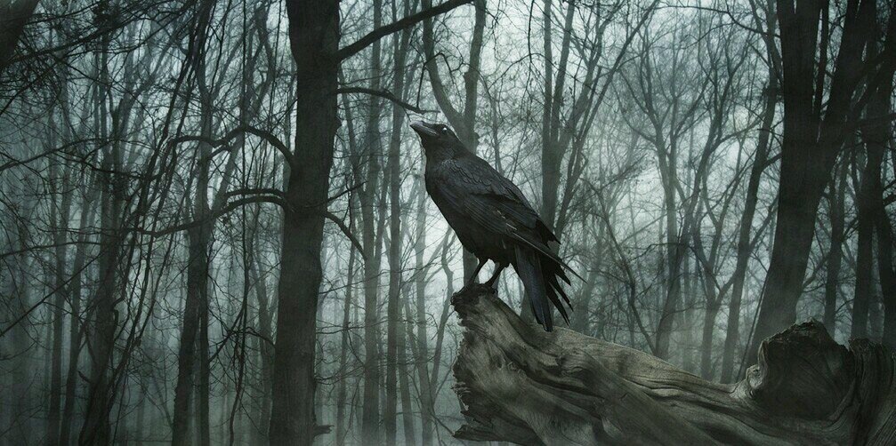 Hitman 📜 🌒 🎲 🌒 banner