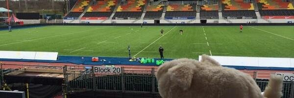 ENSOthepig's profile banner image