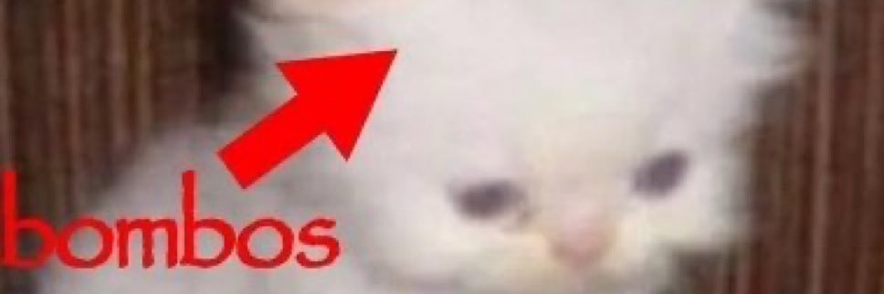ilhvnnn's profile banner image