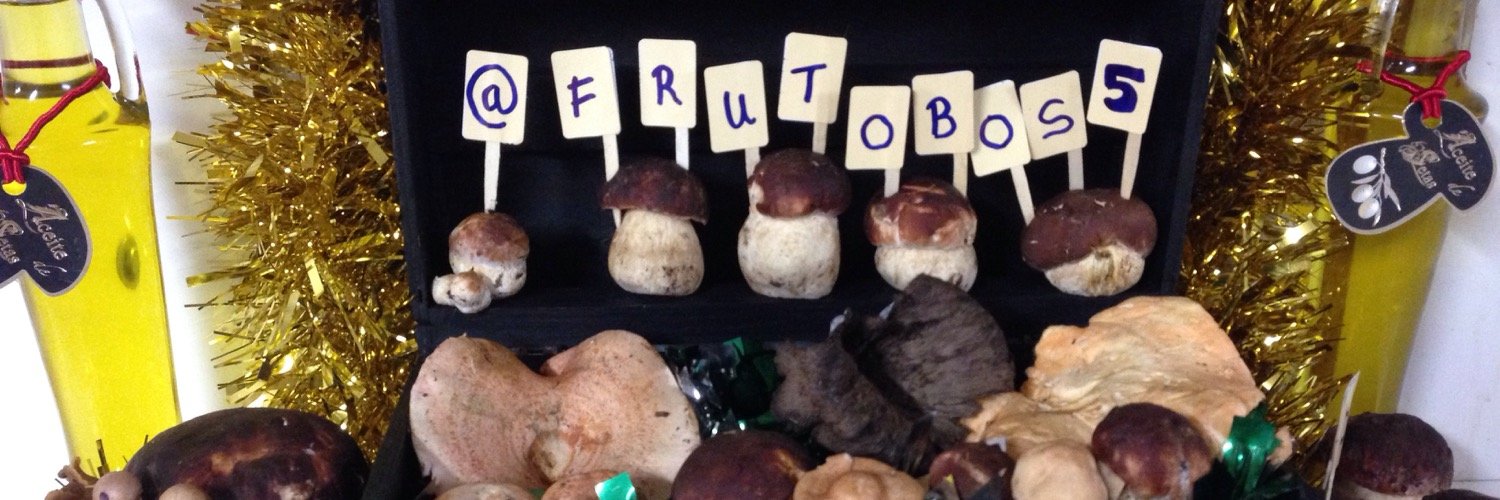 frutobos5's profile banner image